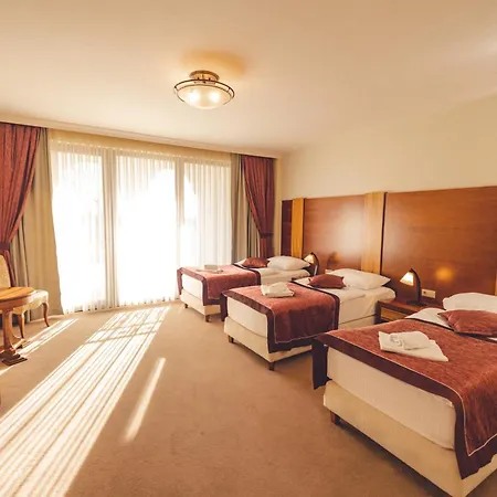 Hotel Etno Selo Stanisici Ras 5*
