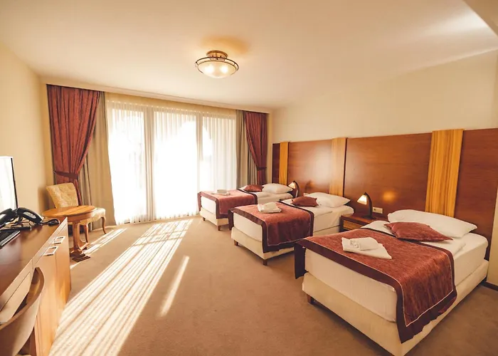 Hotel Etno Selo Stanisici Ras 5*